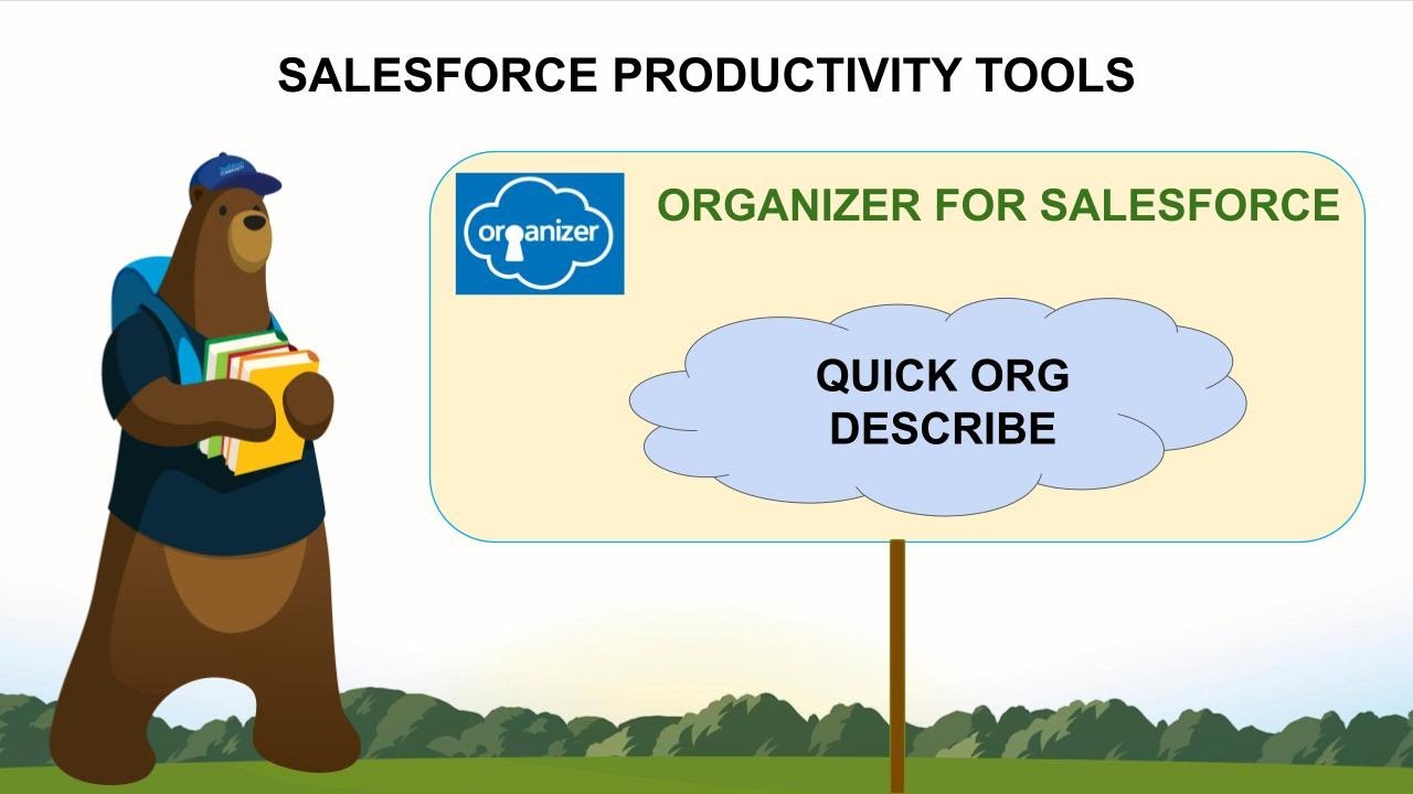 What is Quick ORG Describe Feature in Salesforce Organizer? | Salesforce Productivity Tools